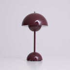 Rechargeable LED Small Desk Lamp