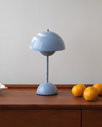 Rechargeable LED Small Desk Lamp