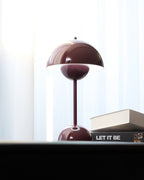 Rechargeable LED Small Desk Lamp
