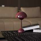 Rechargeable LED Small Desk Lamp