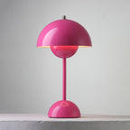 Rechargeable LED Small Desk Lamp