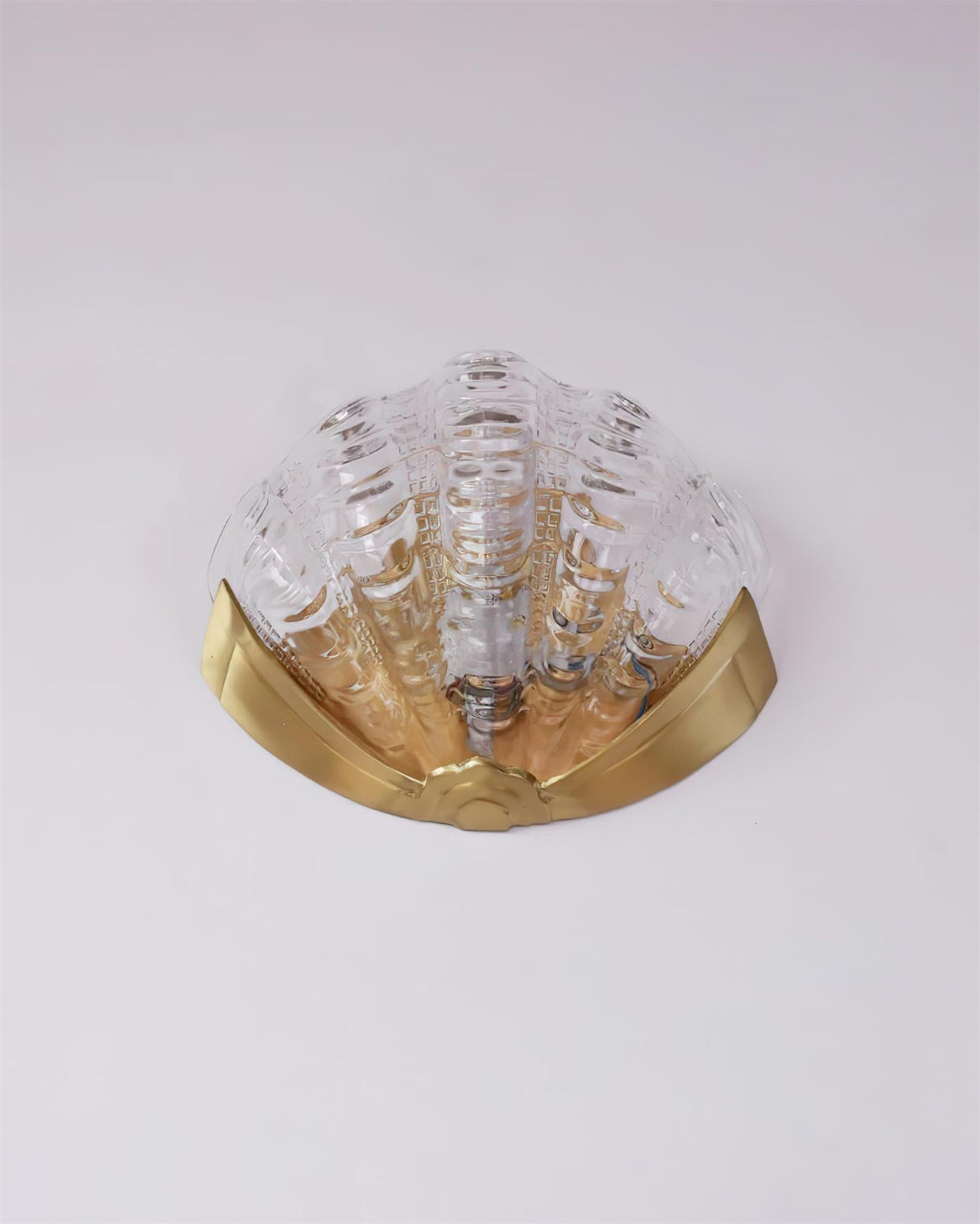 Seashell Wall Lamp