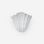 Shell Plaster Wall Lamp