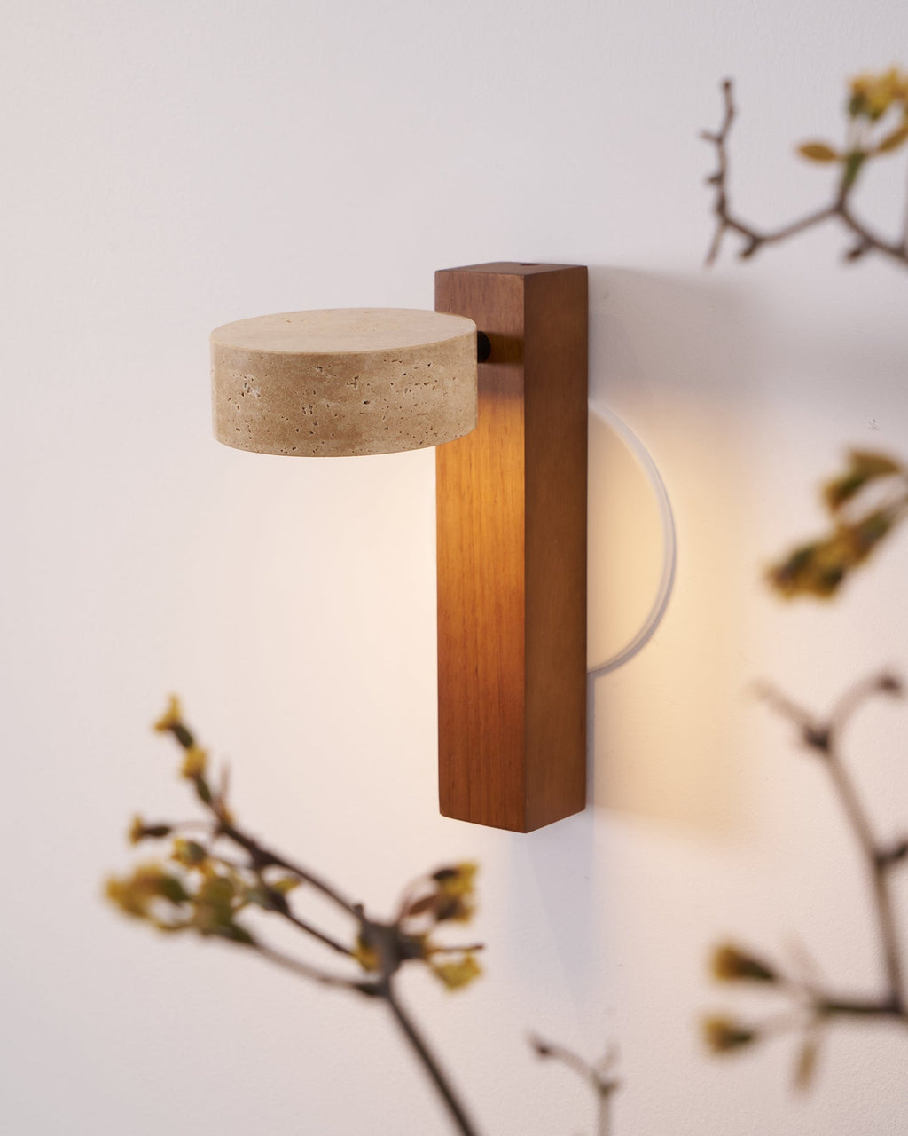 Tersus Wall Light