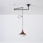 Veluna Swing Arm Pendant Lamp