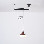 Veluna Swing Arm Pendant Lamp