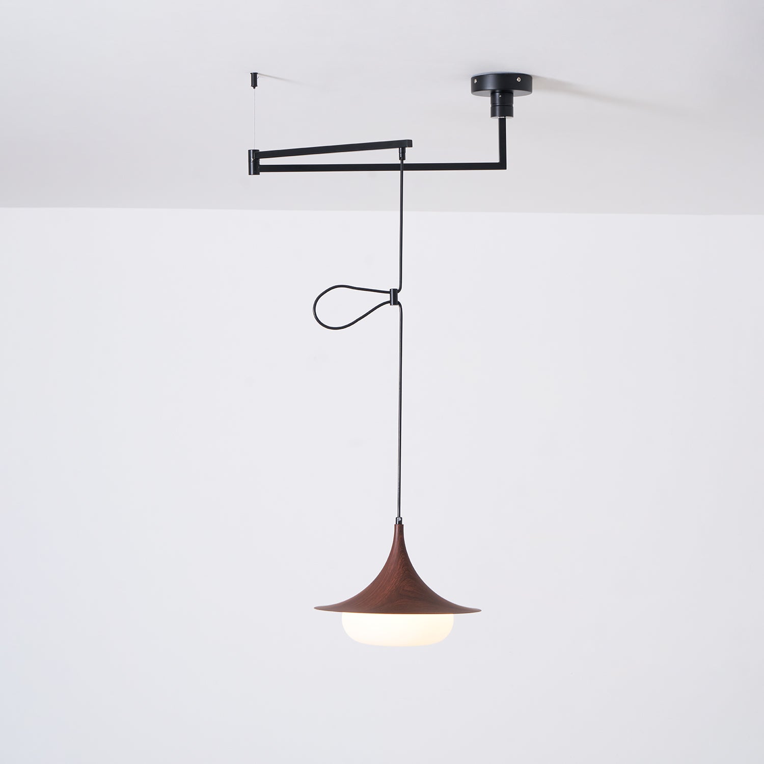 Veluna Swing Arm Pendant Lamp