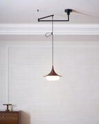 Veluna Swing Arm Pendant Lamp