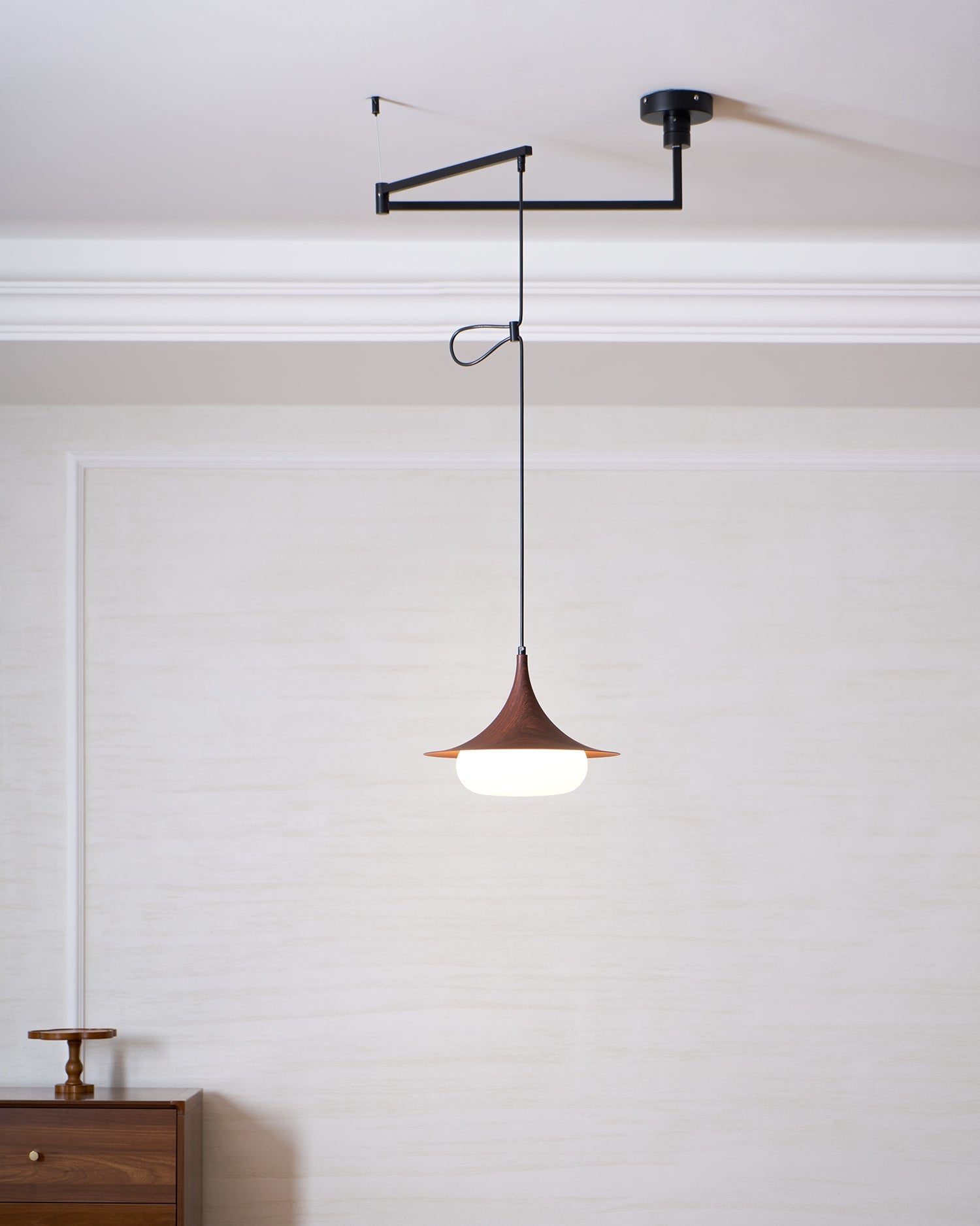 Veluna Swing Arm Pendant Lamp
