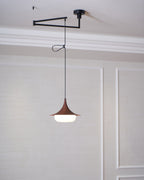 Veluna Swing Arm Pendant Lamp