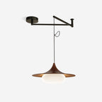 Veluna Swing Arm Pendant Lamp