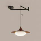 Veluna Swing Arm Pendant Lamp