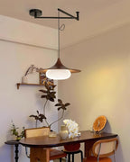 Veluna Swing Arm Pendant Lamp