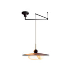 Vicenza Swing Arm Pendant Lamp