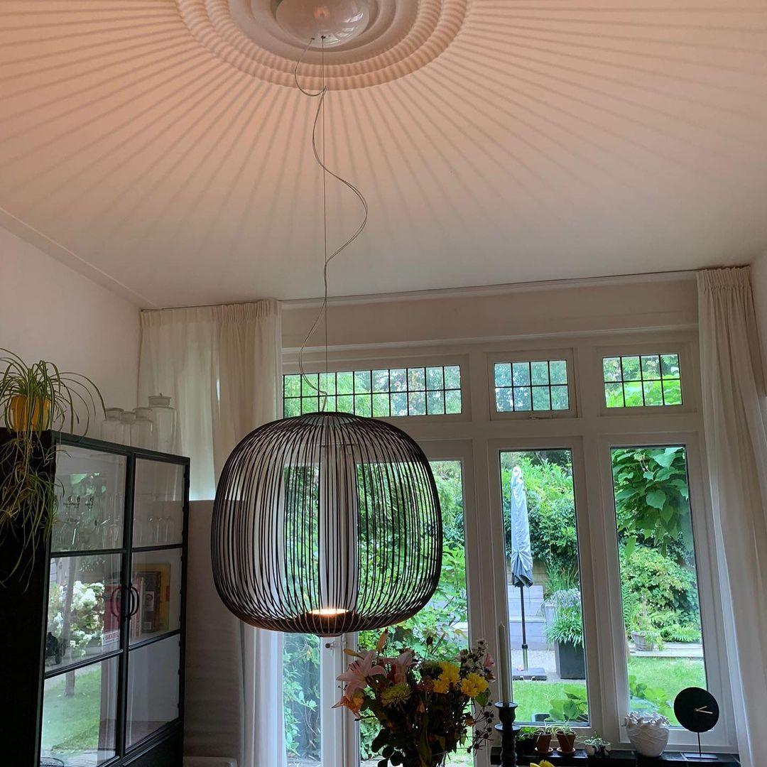 Lightweight Spokes Cage Pendant Lamp