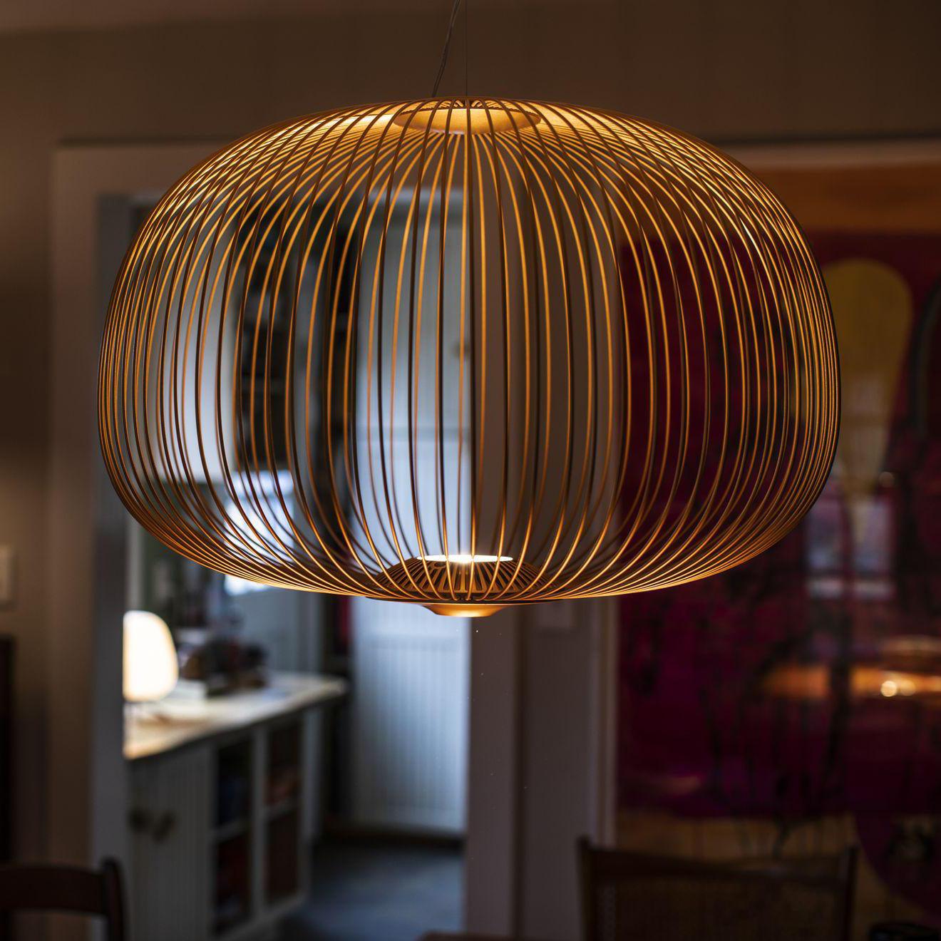 Lightweight Spokes Cage Pendant Lamp