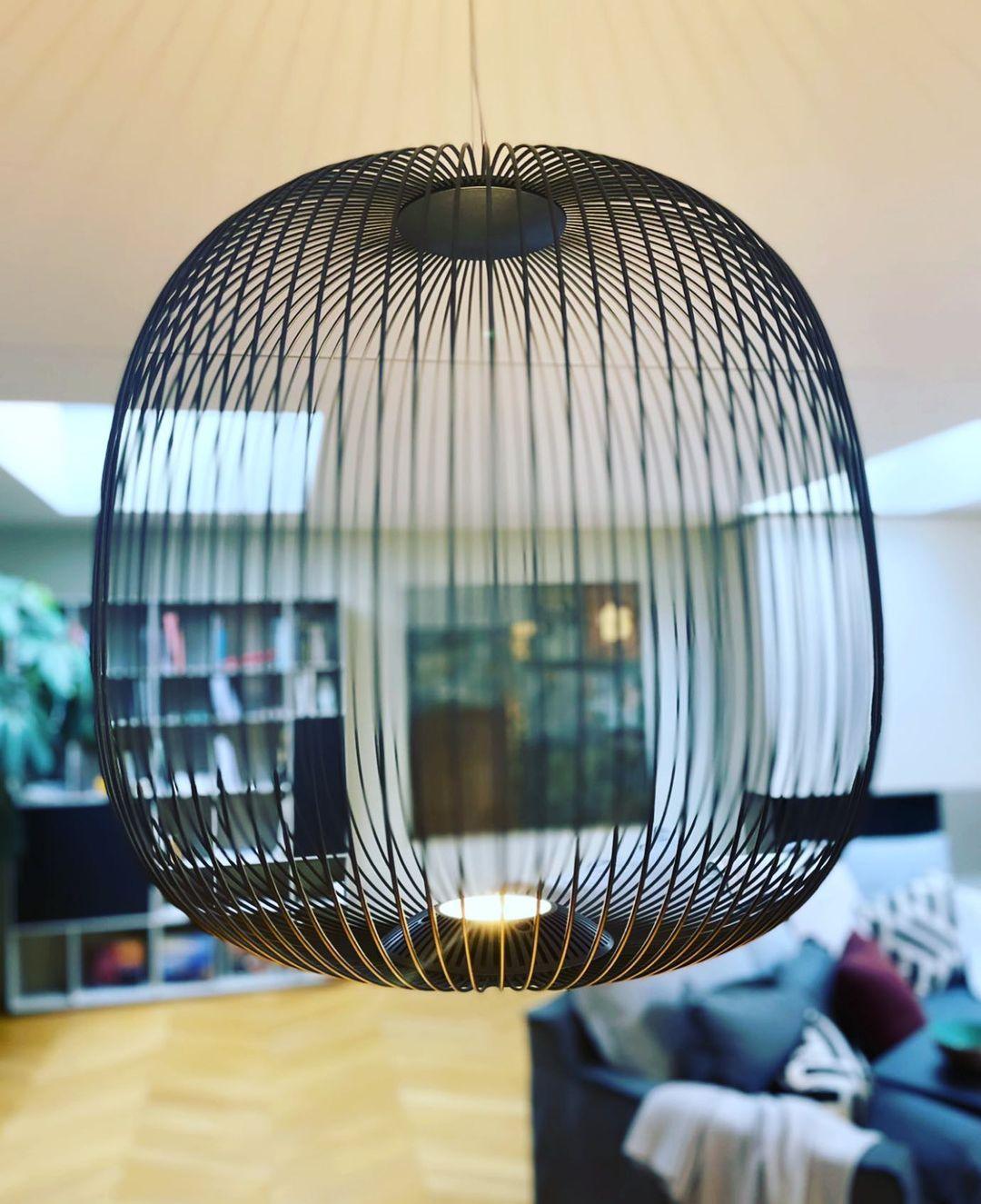 Lightweight Spokes Cage Pendant Lamp