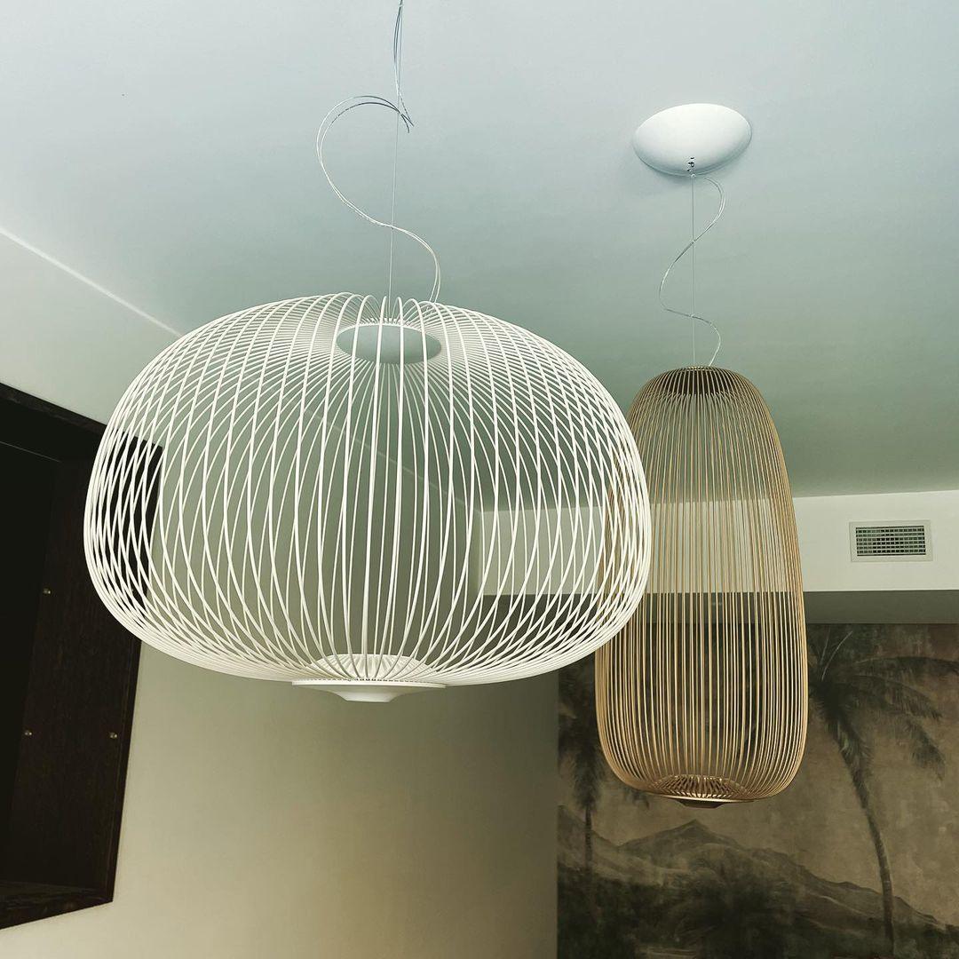 Lightweight Spokes Cage Pendant Lamp