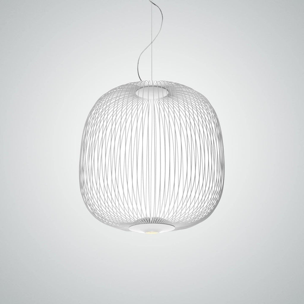 Lightweight Spokes Cage Pendant Lamp